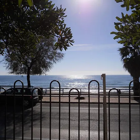 San Carlo 2*